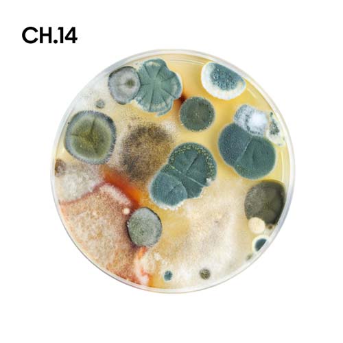 Chemie_motiv14.jpg Chemie_motiv14.jpg